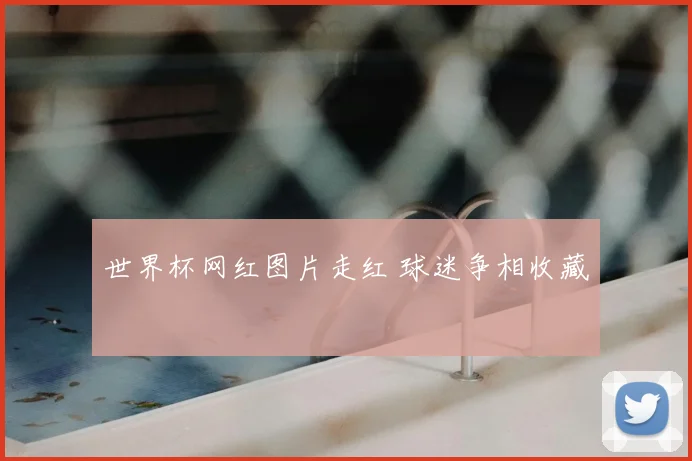 世界杯网红图片走红 球迷争相收藏